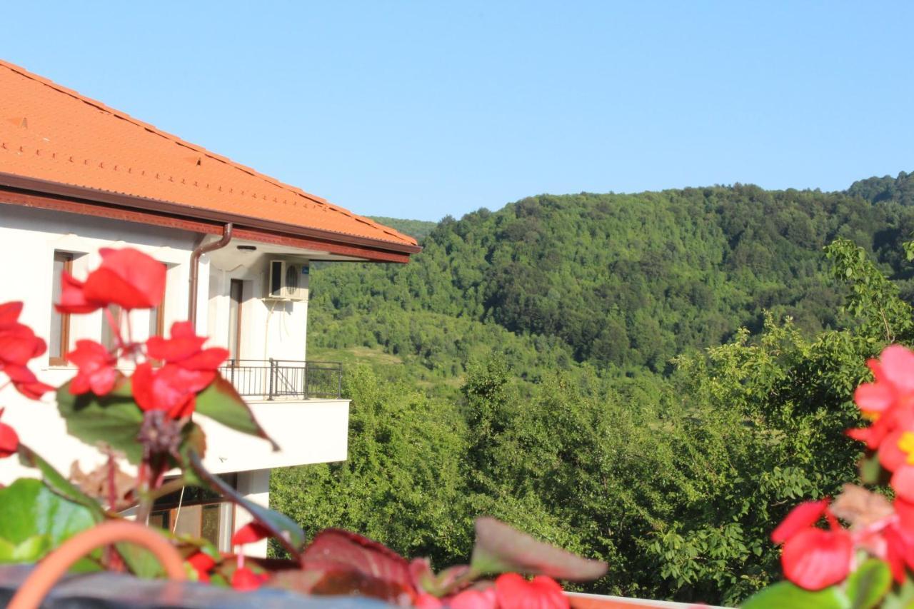 Бадевски Рай- Къща София Veliko Tarnovo Buitenkant foto