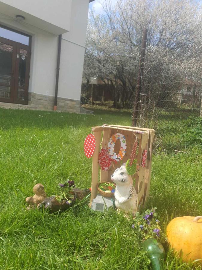 Бадевски Рай- Къща София Veliko Tarnovo Buitenkant foto